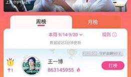 不打烊 明星黑料合法吗,不打烊时代下的明星黑料合法边界