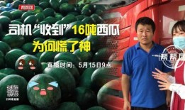 今日吃瓜完整版免费,免费完整版独家解析