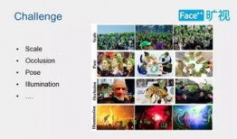 瓜瓜吃瓜ppt 91黑科网吃瓜在线,揭秘91黑科网吃瓜在线的趣味世界