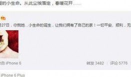 明星资讯是什么意思