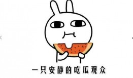 抖音热门大瓜 吃瓜搞笑视频,笑料横飞，搞笑视频带你领略网络狂欢