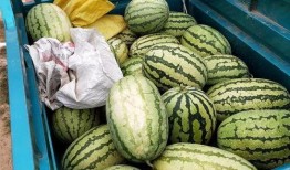 热门大瓜热心的朝阳爆料 朝阳吃瓜群众一枚,揭秘热门大瓜背后的真相